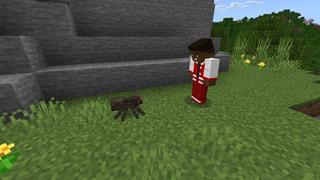 Screenshot of the Minecraft Bedrock Marketplace product Tiny Animals created by Chillcraft.