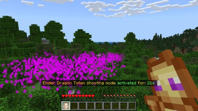 Screenshot of the Minecraft Bedrock Marketplace product Totems created by Chillcraft.