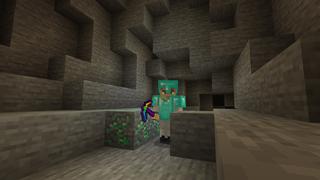 Screenshot of the Minecraft Bedrock Marketplace product CUSTOM DIAMONDS! created by Chunklabs.