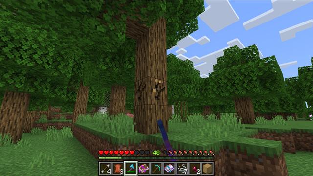 Screenshot of the Minecraft Bedrock Marketplace product CUSTOM ENCHANTS! Add-On [1.5] created by Chunklabs.