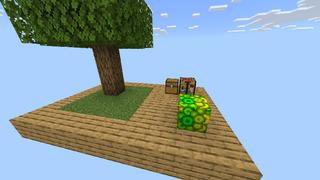 Screenshot of the Minecraft Bedrock Marketplace product ONE XP BLOCK! created by Chunklabs.