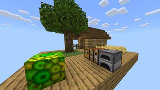 Screenshot of the Minecraft Bedrock Marketplace product ONE XP BLOCK! created by Chunklabs.