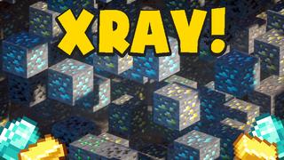 Thumbnail of the Minecraft Bedrock Marketplace product XRAY! created by Chunklabs.