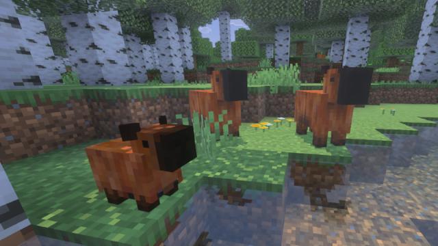 Screenshot of the Minecraft Bedrock Marketplace product Capybara Add-On created by Cleverlike.