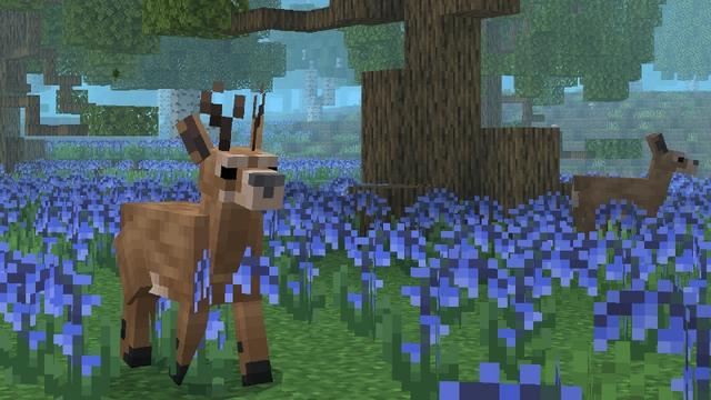 Screenshot of the Minecraft Bedrock Marketplace product WildlifeCraft created by CompyCraft.