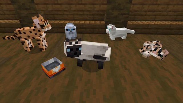 Screenshot of the Minecraft Bedrock Marketplace product Basic Cats Add-On (1.0) created by CrackedCubes.