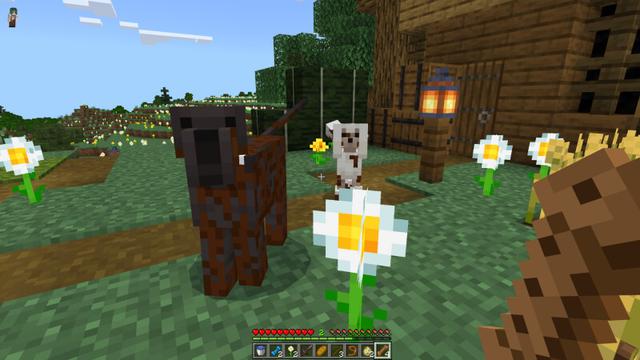 Screenshot of the Minecraft Bedrock Marketplace product Basic Dogs Add-On created by CrackedCubes.