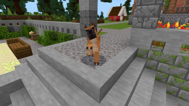 Screenshot of the Minecraft Bedrock Marketplace product Dog Sanctuary created by CrackedCubes.
