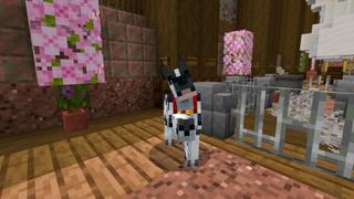Screenshot of the Minecraft Bedrock Marketplace product Live in a Dog, with a Dog! created by CrackedCubes.