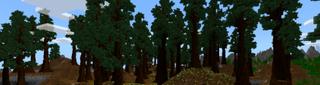 Panorama of the Minecraft Bedrock Marketplace product Redwood Forest created by CrackedCubes.