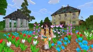 Screenshot of the Minecraft Bedrock Marketplace product The Neighbourhood created by CrackedCubes.