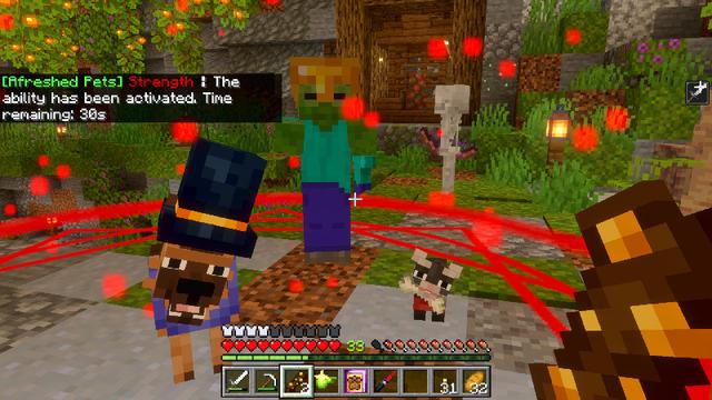 Screenshot of the Minecraft Bedrock Marketplace product Afreshed Pets Add-On created by CreatorLabs.