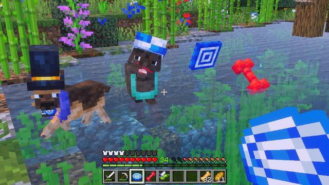 Screenshot of the Minecraft Bedrock Marketplace product Afreshed Pets Add-On created by CreatorLabs.
