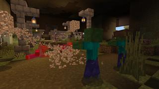 Screenshot of the Minecraft Bedrock Marketplace product Armadillo Base created by CubeCraft Games.