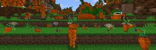 Panorama of the Minecraft Bedrock Marketplace product Carrots created by CubeCraft Games.