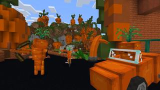 Screenshot of the Minecraft Bedrock Marketplace product Carrots created by CubeCraft Games.