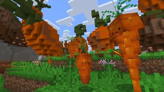 Screenshot of the Minecraft Bedrock Marketplace product Carrots created by CubeCraft Games.