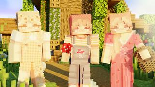 Thumbnail of the Minecraft Bedrock Marketplace product Cottage Core created by CubeCraft Games.