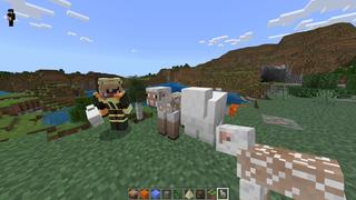 Screenshot of the Minecraft Bedrock Marketplace product Cursed created by CubeCraft Games.