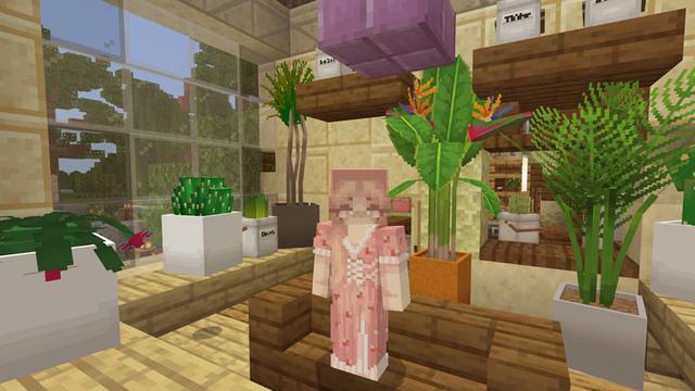 Screenshot of the Minecraft Bedrock Marketplace product House Plants created by CubeCraft Games.
