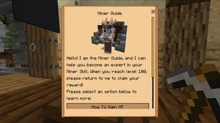 Screenshot of the Minecraft Bedrock Marketplace product Level Up! created by CubeCraft Games.