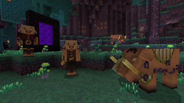 Screenshot of the Minecraft Bedrock Marketplace product Mizuno Craft created by CubeCraft Games.