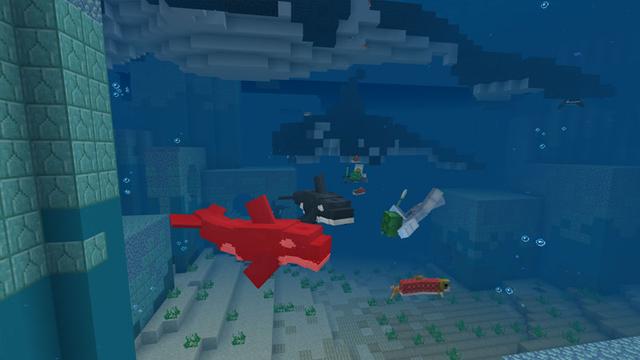 Screenshot of the Minecraft Bedrock Marketplace product Orca created by CubeCraft Games.