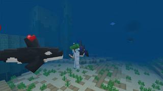 Screenshot of the Minecraft Bedrock Marketplace product Orca created by CubeCraft Games.