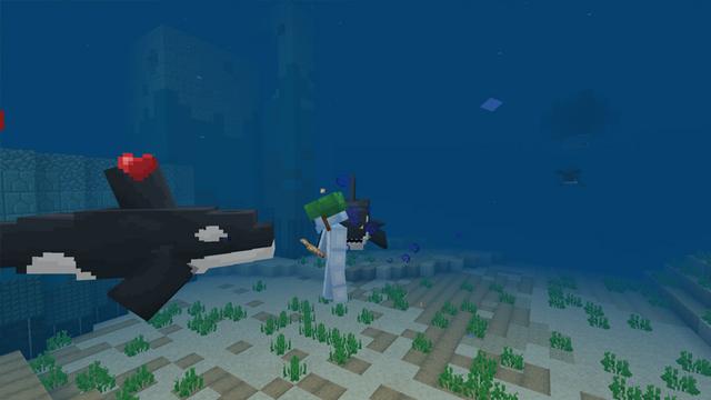 Screenshot of the Minecraft Bedrock Marketplace product Orca created by CubeCraft Games.