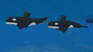 Screenshot of the Minecraft Bedrock Marketplace product Orca created by CubeCraft Games.