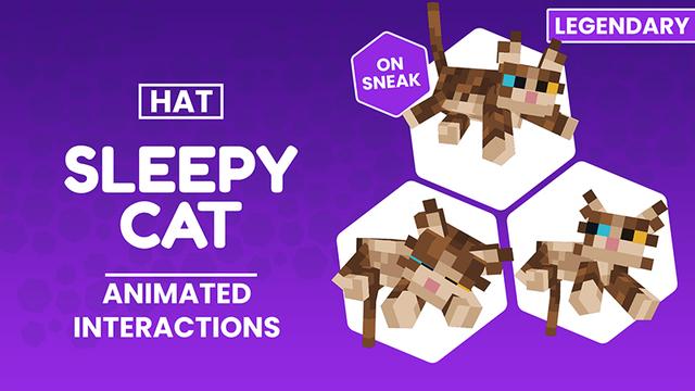 Thumbnail of the Minecraft Bedrock Marketplace product Sleepy Cat - Hat created by CubeCraft Games.