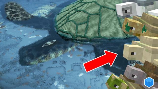 Thumbnail of the Minecraft Bedrock Marketplace product Turtle Base created by CubeCraft Games.