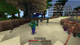 Screenshot of the Minecraft Bedrock Marketplace product Wands created by CubeCraft Games.