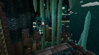 Screenshot of the Minecraft Bedrock Marketplace product Warden Parkour created by CubeCraft Games.