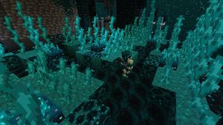 Screenshot of the Minecraft Bedrock Marketplace product Warden Parkour created by CubeCraft Games.