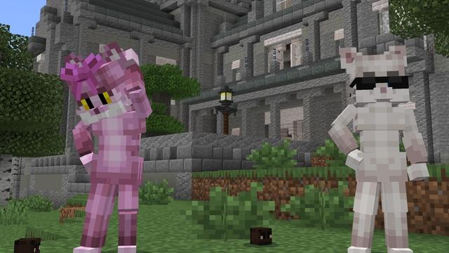 Screenshot of the Minecraft Bedrock Marketplace product Be A Cat created by Cubed Creations.