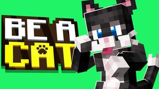 Thumbnail of the Minecraft Bedrock Marketplace product Be A Cat created by Cubed Creations.