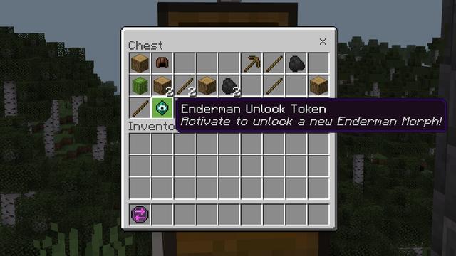 Screenshot of the Minecraft Bedrock Marketplace product Be An Enderman created by Cubed Creations.