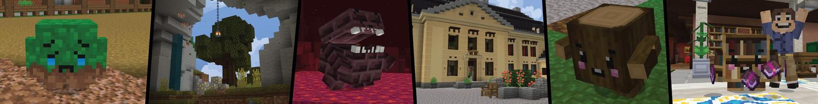 Panorama of the Minecraft Bedrock Marketplace product Block Pets created by Cubed Creations.