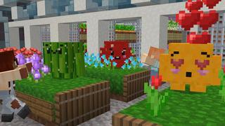 Screenshot of the Minecraft Bedrock Marketplace product Block Pets created by Cubed Creations.