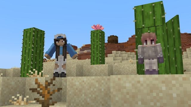 Screenshot of the Minecraft Bedrock Marketplace product Craftable Secret Bases created by Cubed Creations.