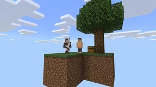 Screenshot of the Minecraft Bedrock Marketplace product Craftable Skyblock created by Cubed Creations.