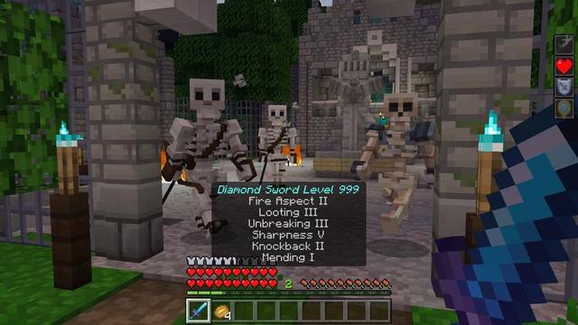 Screenshot of the Minecraft Bedrock Marketplace product Custom Enchantments created by Cubed Creations.