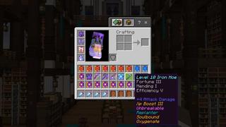 Screenshot of the Minecraft Bedrock Marketplace product Enchantments++ created by Cubed Creations.