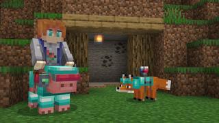 Screenshot of the Minecraft Bedrock Marketplace product Mobs Armor created by Cubed Creations.