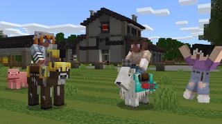 Screenshot of the Minecraft Bedrock Marketplace product Mobs Armor created by Cubed Creations.