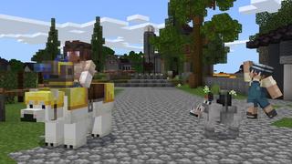 Screenshot of the Minecraft Bedrock Marketplace product Mobs Armor created by Cubed Creations.