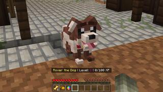 Screenshot of the Minecraft Bedrock Marketplace product Pets created by Cubed Creations.
