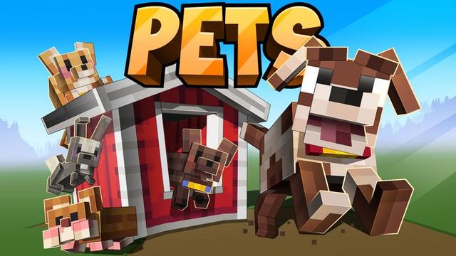 Thumbnail of the Minecraft Bedrock Marketplace product Pets created by Cubed Creations.