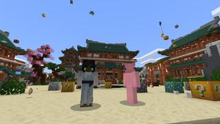 Screenshot of the Minecraft Bedrock Marketplace product Random Rain created by Cubed Creations.